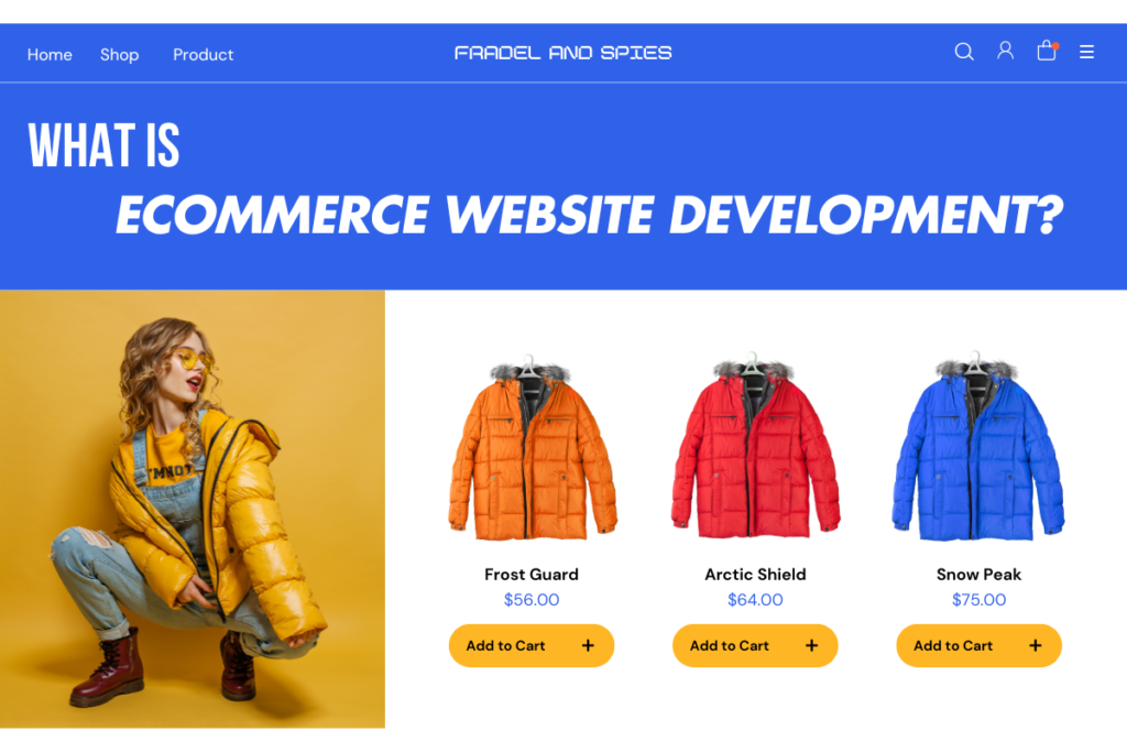 What is Ecommerce Website Development